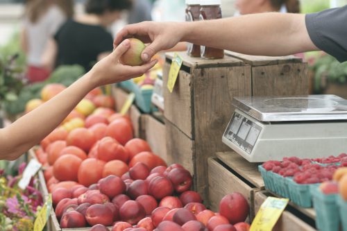 Ile zarabia się w Lidlu? Rzeczywistość wynagrodzeń w sklepie dyskontowym